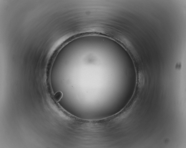 X0000112210780200908141456