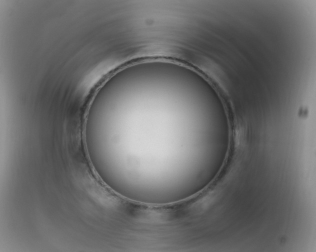 X0000112210781200908141456