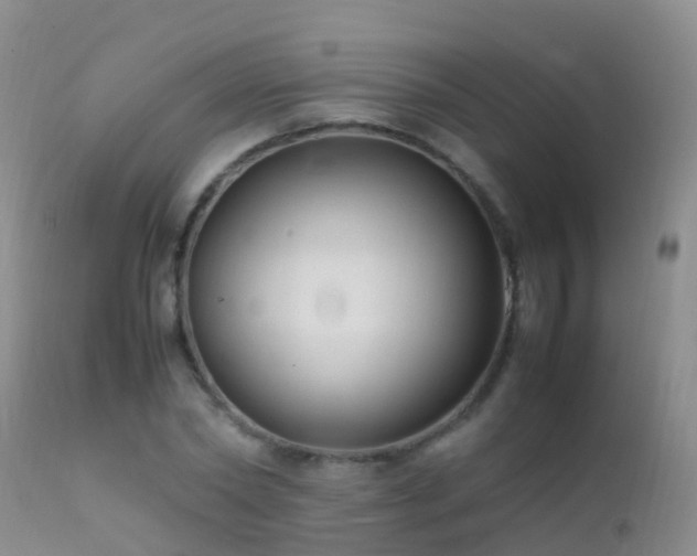 X0000112210782200908141456