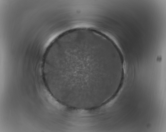 X0000112210783200908141456