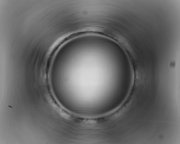 X0000112210784200908141456