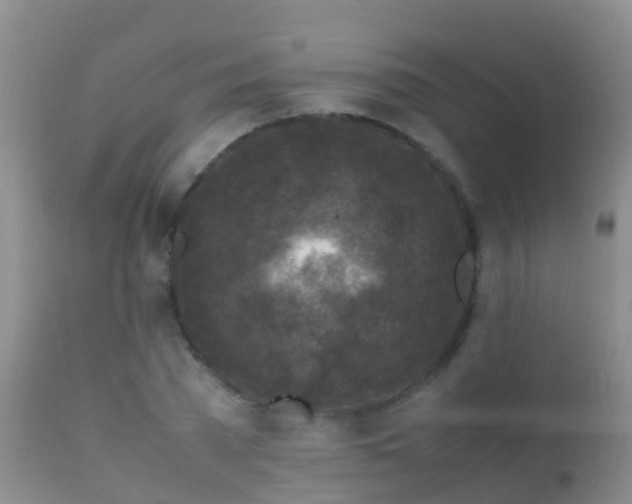 X0000112210785200908141456