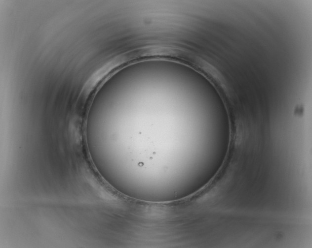 X0000112210786200908141456