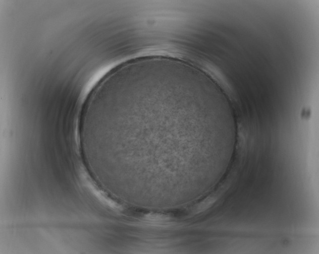 X0000112210788200908141456