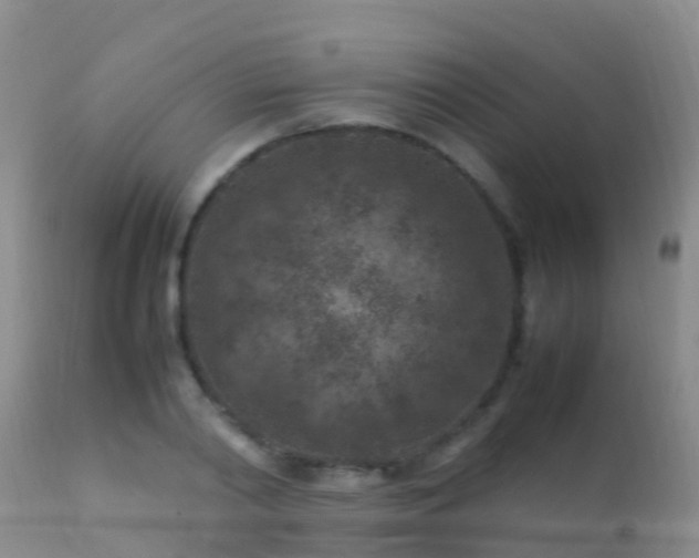 X0000112210790200908141456