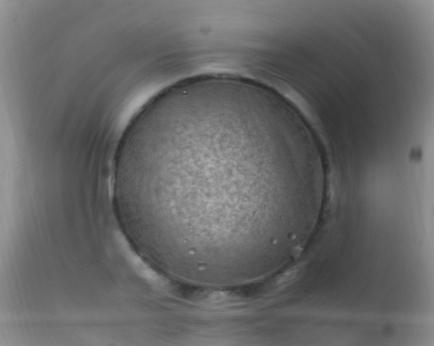 X0000112210791200908141456