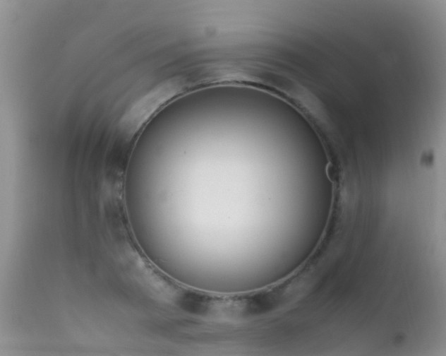 X0000112210793200908141456