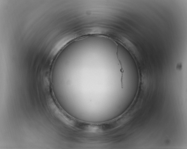 X0000112210794200908141456