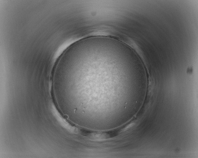 X0000112210795200908141456