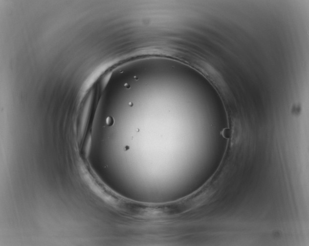 X0000112210796200908141456