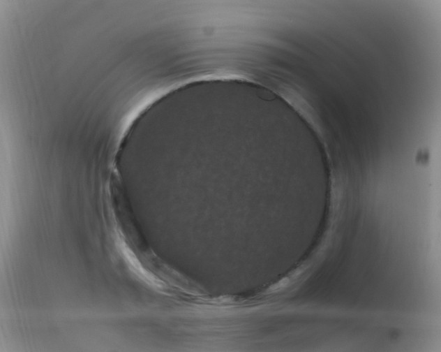 X0000112210797200908141456