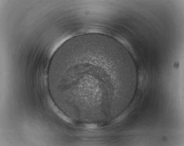 X0000112210798200908141456