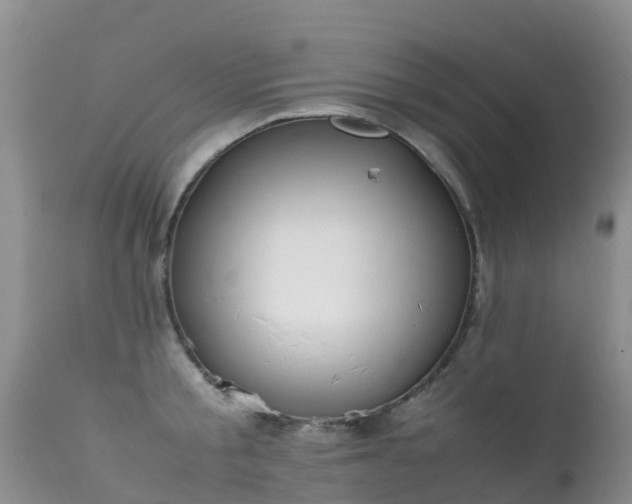 X0000112210805200908141456