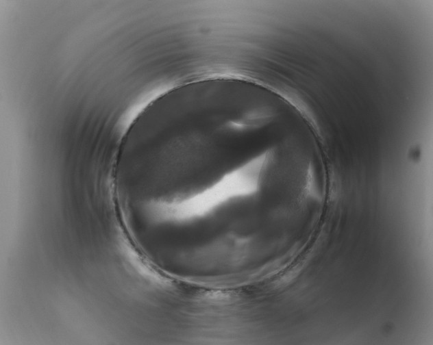 X0000112210806200908141456