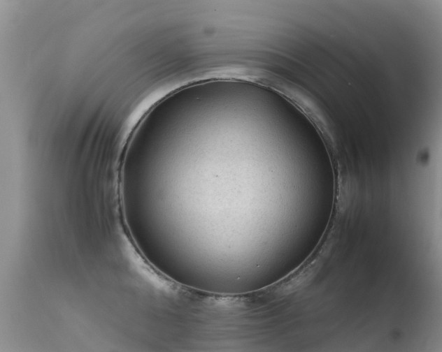 X0000112210808200908141456