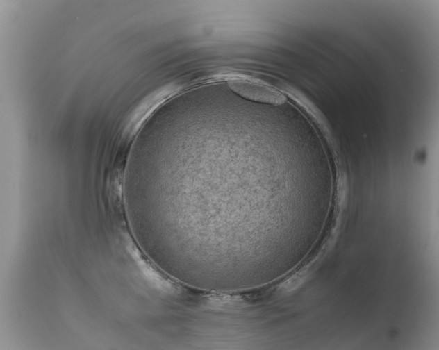 X0000112210809200908141456