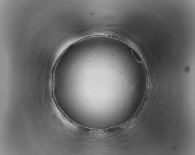 X0000112210811200908141456