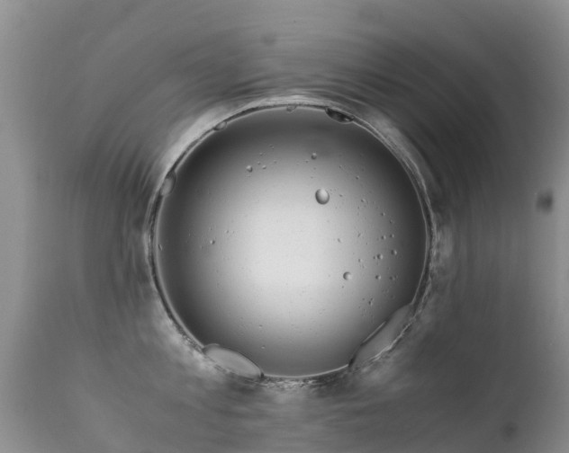 X0000112210813200908141456