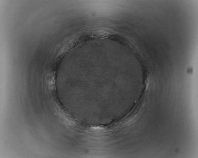 X0000112210818200908141455