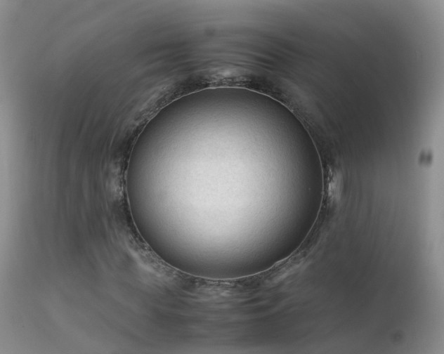 X0000112210819200908141455