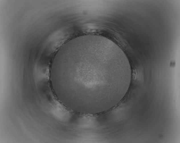 X0000112210820200908141455