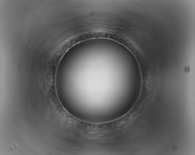 X0000112210821200908141455