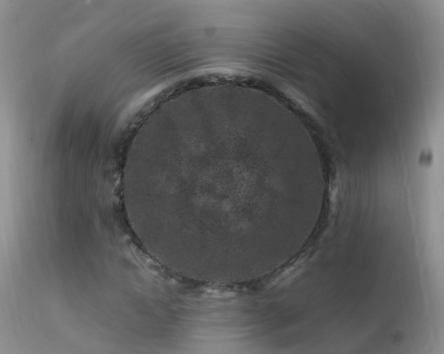 X0000112210822200908141455