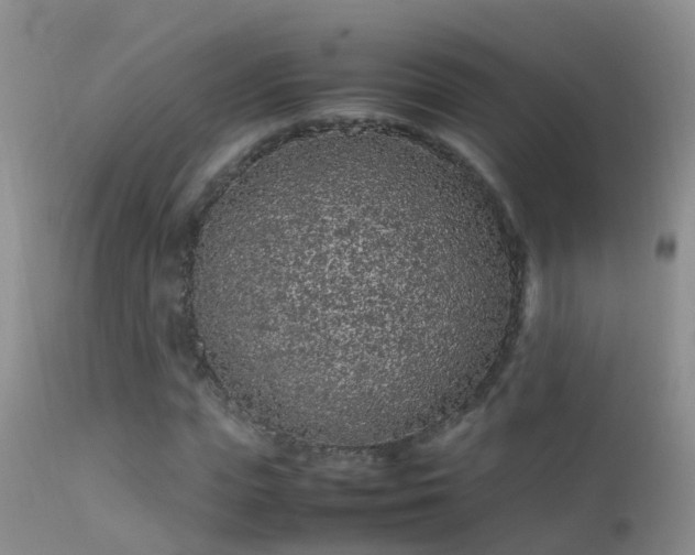 X0000112210823200908141455