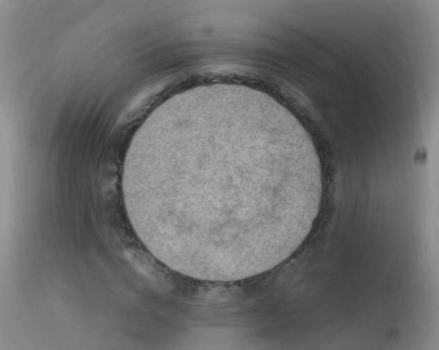 X0000112210824200908141455