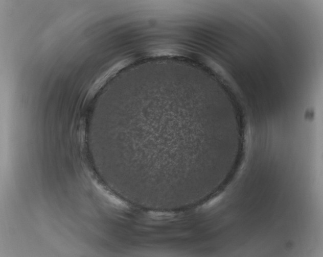 X0000112210825200908141455