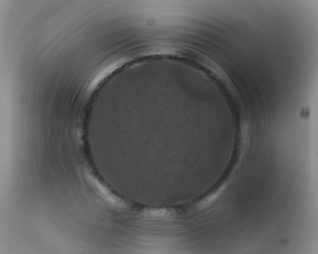 X0000112210826200908141455