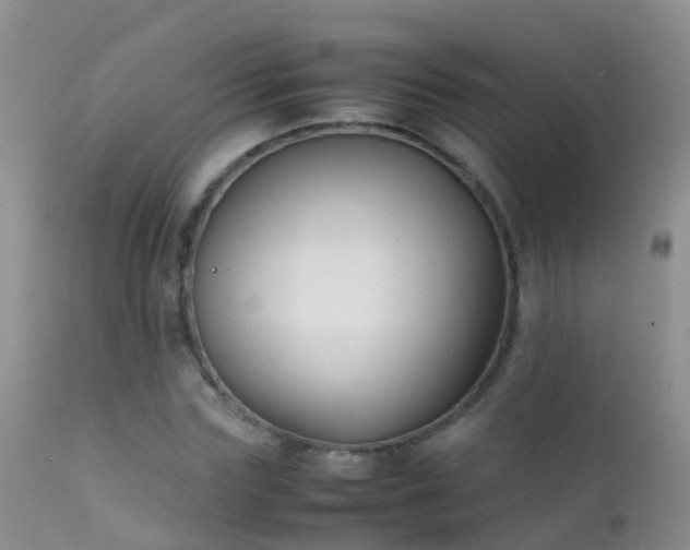 X0000112210827200908141455