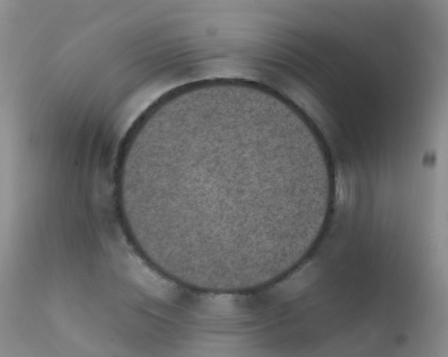 X0000112210828200908141455