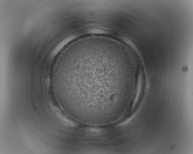 X0000112210829200908141455