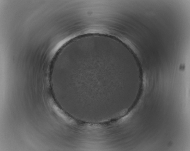 X0000112210830200908141455