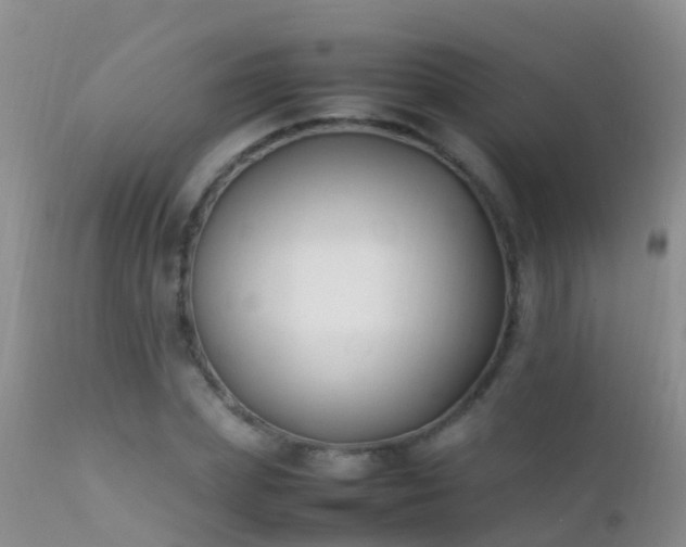 X0000112210831200908141455