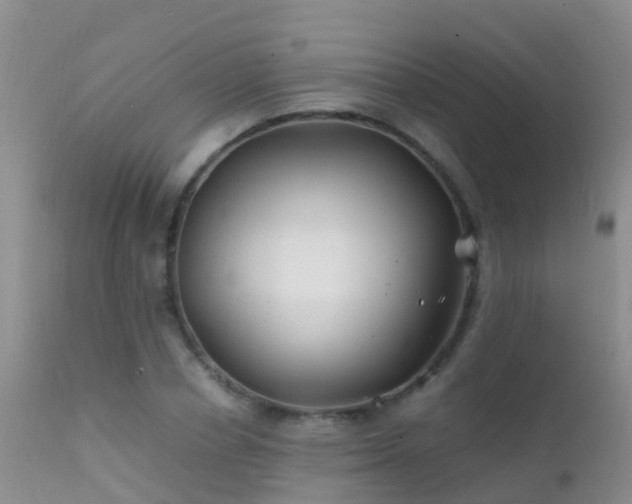 X0000112210834200908141456