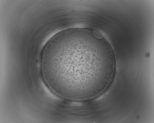 X0000112210835200908141456