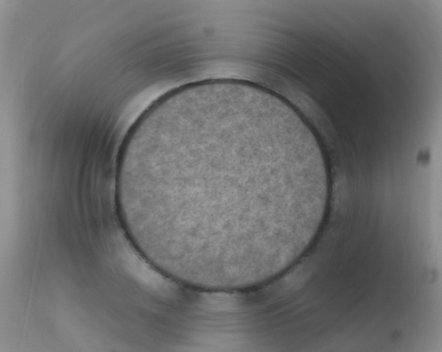 X0000112210836200908141456