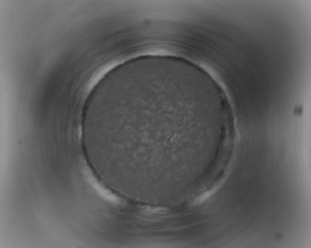 X0000112210837200908141456