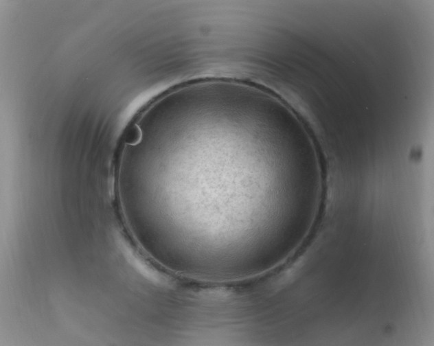 X0000112210838200908141456