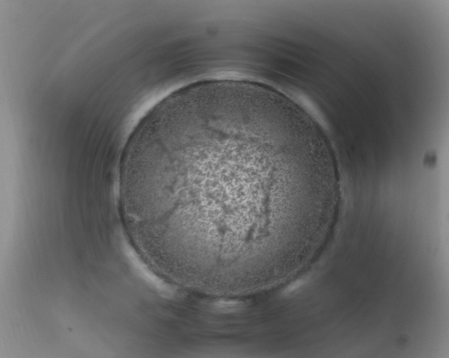 X0000112210839200908141456