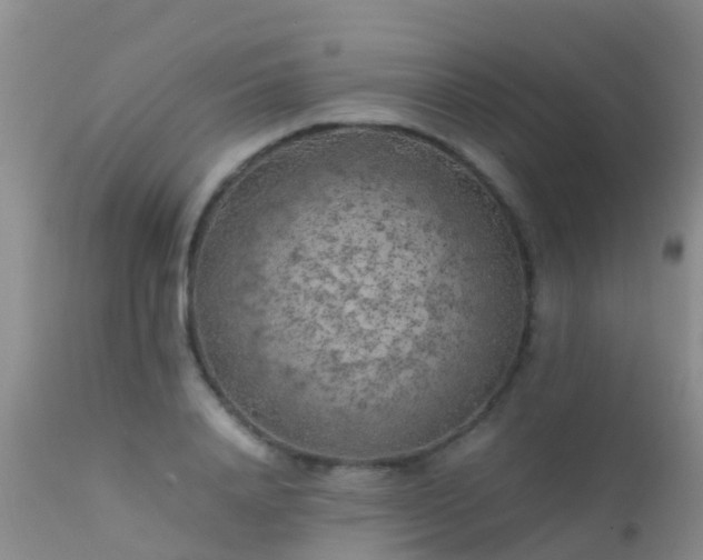 X0000112210840200908141456