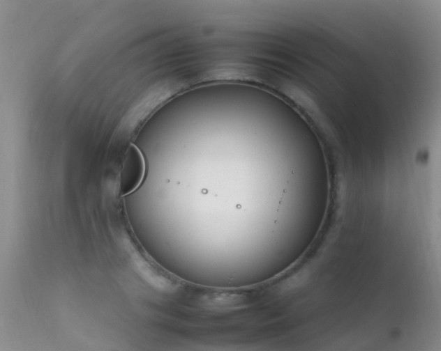 X0000112210841200908141456