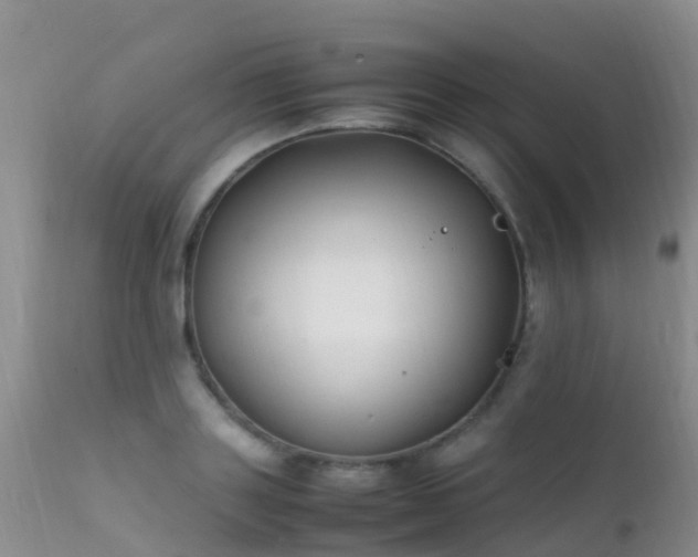 X0000112210843200908141456