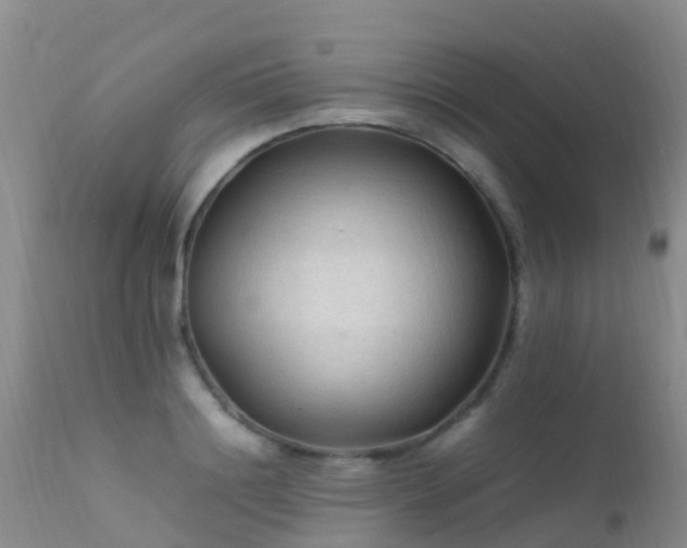 X0000112210844200908141456