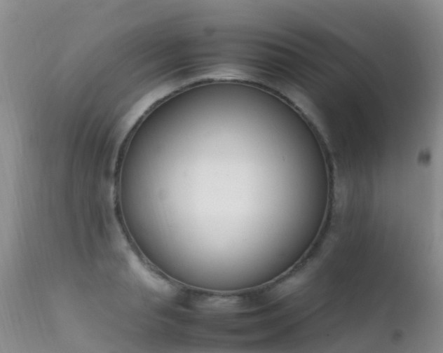 X0000112210845200908141456