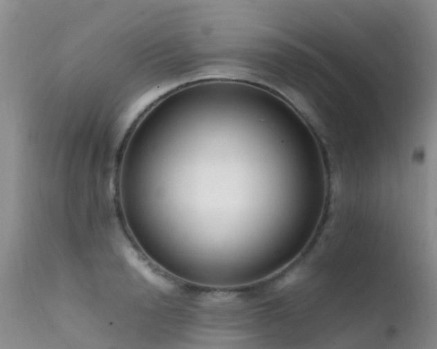 X0000112210846200908141456