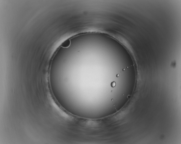 X0000112210847200908141456