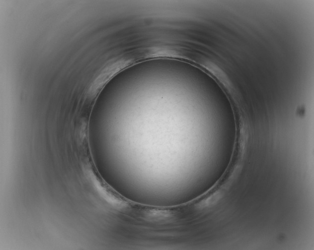 X0000112210849200908141456